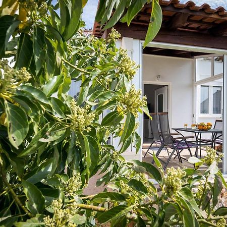 דוברובניק Avocado Apartment מראה חיצוני תמונה