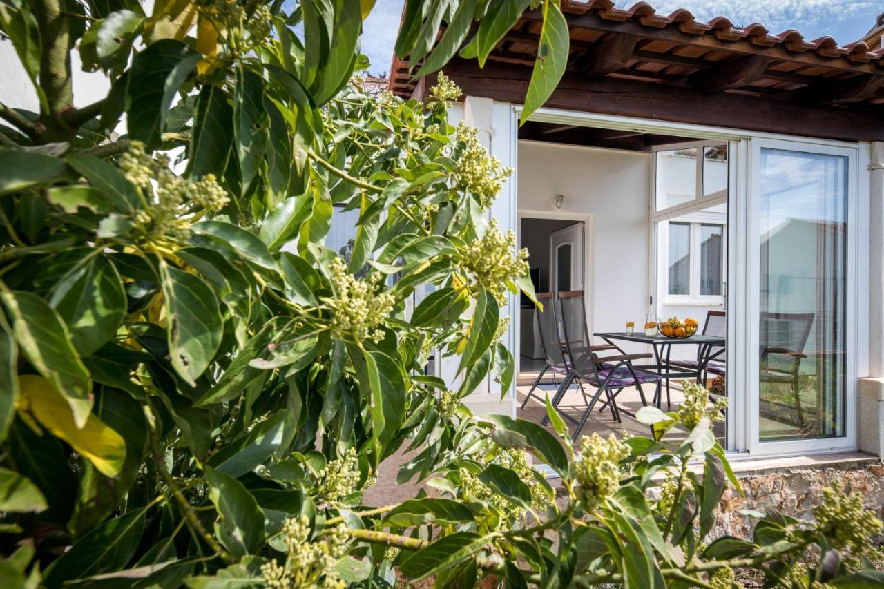 דוברובניק Avocado Apartment מראה חיצוני תמונה