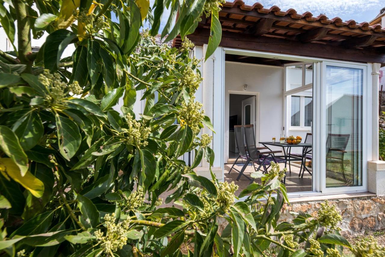 דוברובניק Avocado Apartment מראה חיצוני תמונה